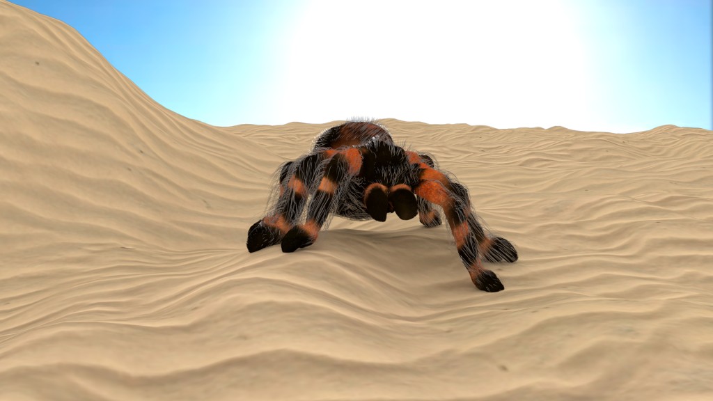 Bird eater spider/tarantula with rig preview image 1